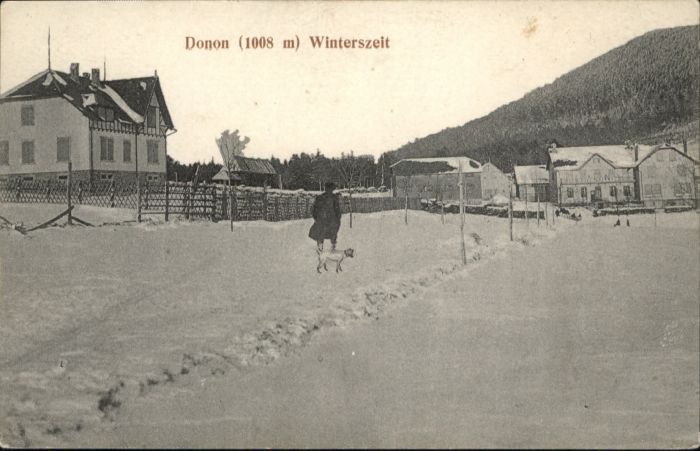 Donon Winterzeit Hund