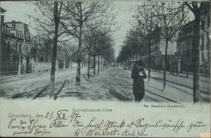 Strasbourg Alsace Strassburg Elsass Ruprechtsauer Allee