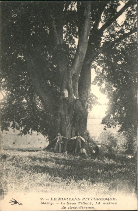 Marcy Morvand Pittoresque