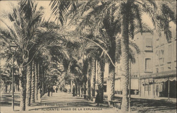 Alicante Paseo Explanada