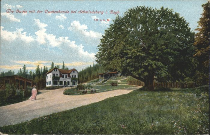 Buchenbaude Riesengebirge Schmiedeberg Buche