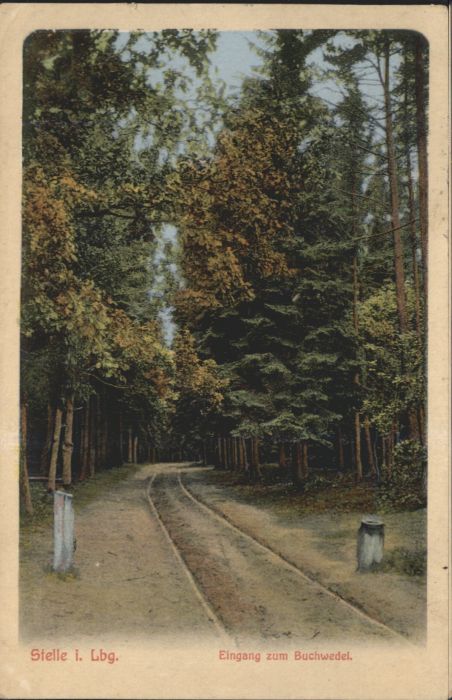 Stelle Lüneburg Buchwedel