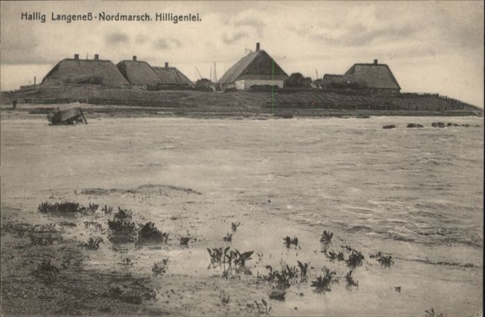 Hallig Langeness Nordmarsch Hilligenlei
