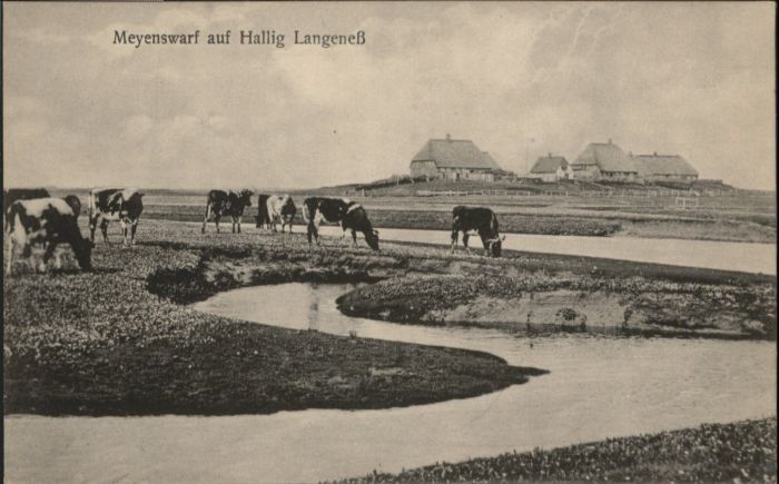 Hallig Langeness Meyenswarf