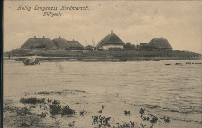 Hallig Langeness Hilligenlei Nordmarsch