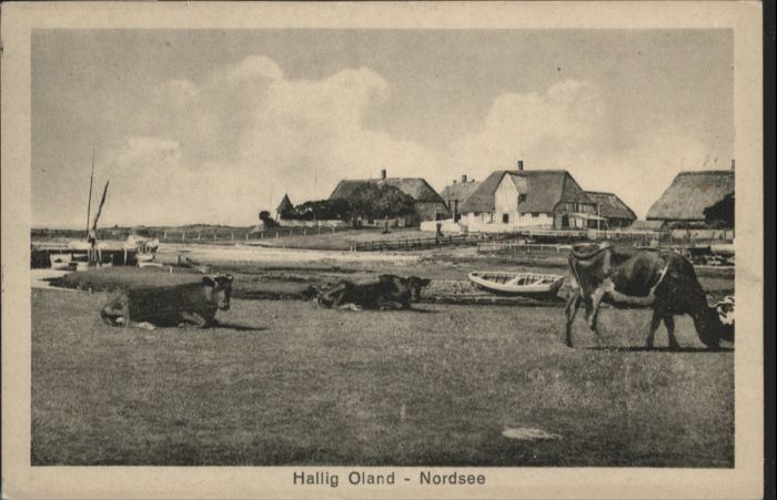 Oland Oland_Hallig Nordsee