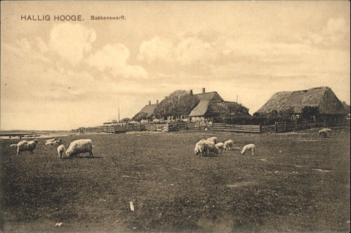Hooge Hallig Bakkenswerft