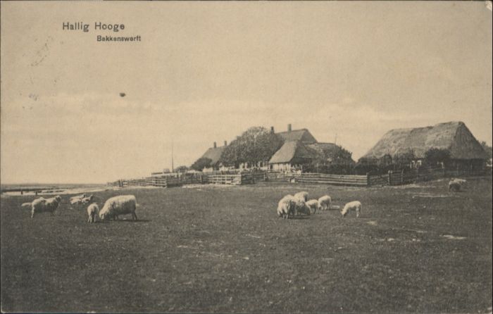 Hallig Hooge Bakkenswerft