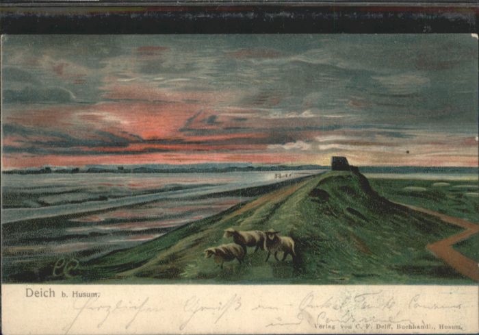 Husum Nordfriesland Husum Deich Schaf