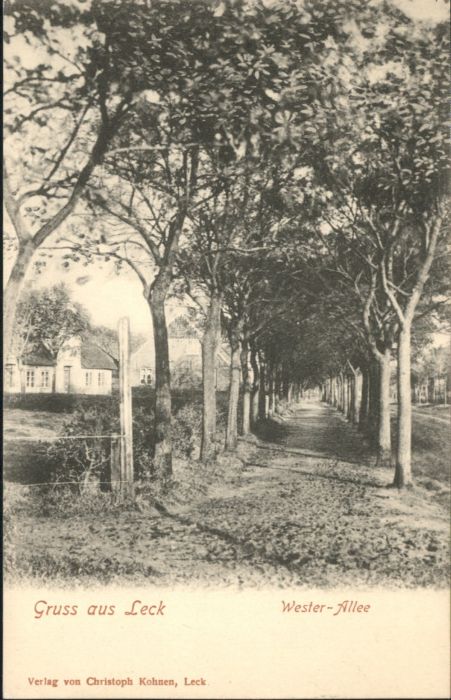 Leck Wester-Allee