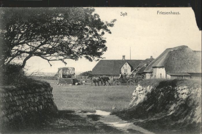 Insel Sylt Friesenhaus