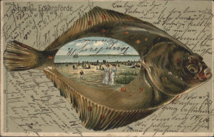 Eckernfoerde ischkarte Prägedruck  x