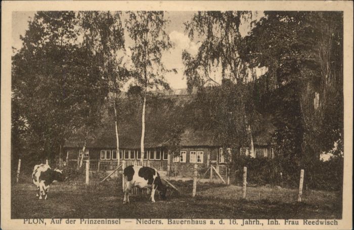 Ploen See Plön Prinzeninsel Bauernhaus Kuh