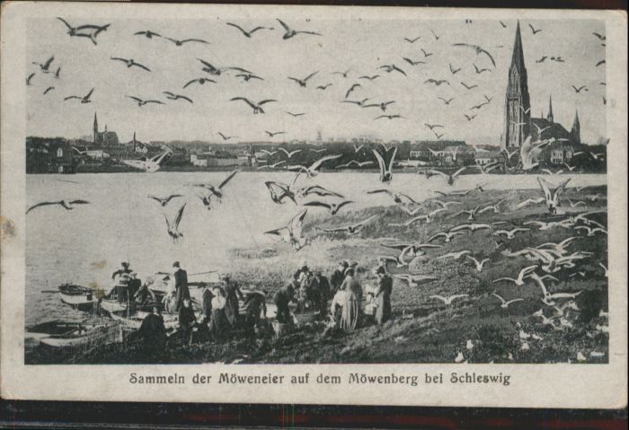 Schleswig Holstein Schleswig Möwenberg