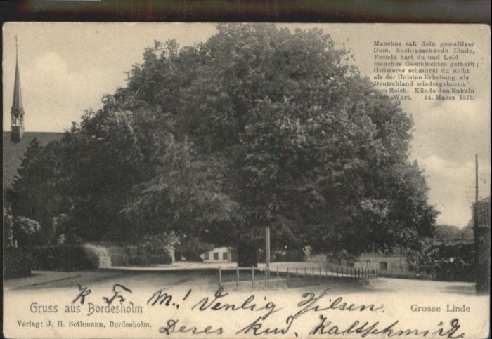 Bordesholm Rendsburg-Eckernfoerde Schleswig-Holstein Grosse Linde Reim