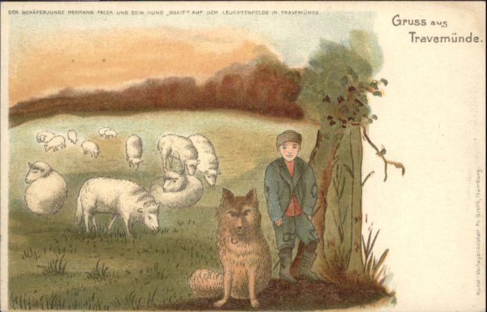 Travemuende Ostseebad Travemünde Kind Hund Schaf