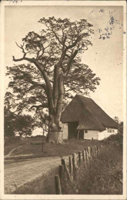 Israelsdorf