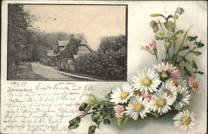 Israelsdorf Kate Blume