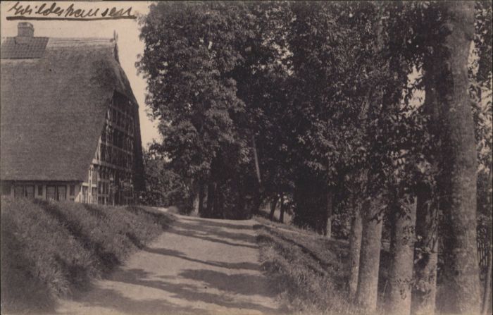 Wildeshausen [Stempelabschlag]