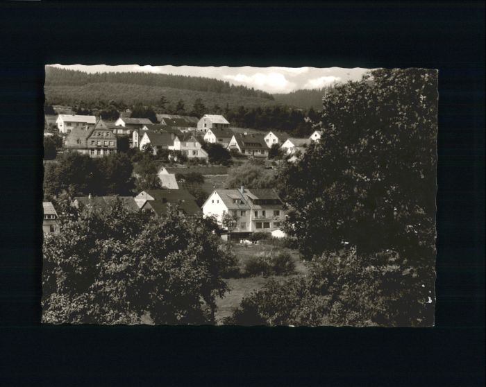 Dietzhoelztal teinbruecken Pension Henrich Opitz x