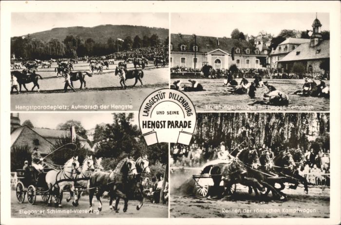 Dillenburg Hessen Landgestuet Pferde Hengste