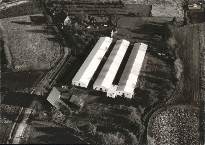 Waltrop Recklinghausen NRW Huehnerfarm Fliegeraufnahme
