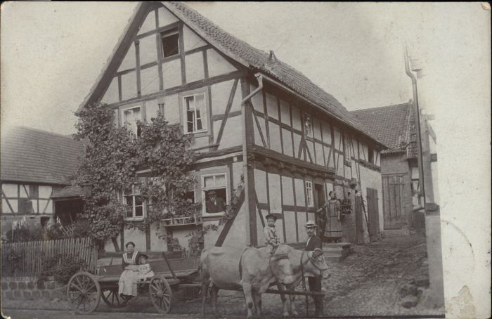 Duesseldorf Stempelabschlag] Ochsengespann