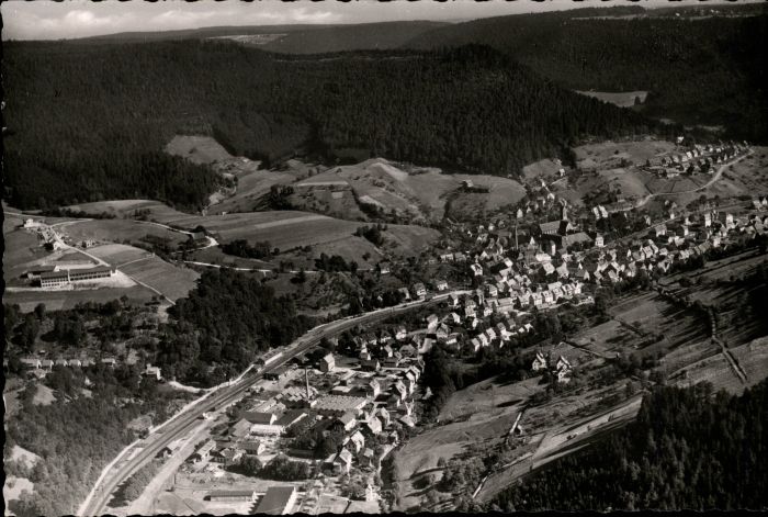 Alpirsbach Fliegeraufnahme