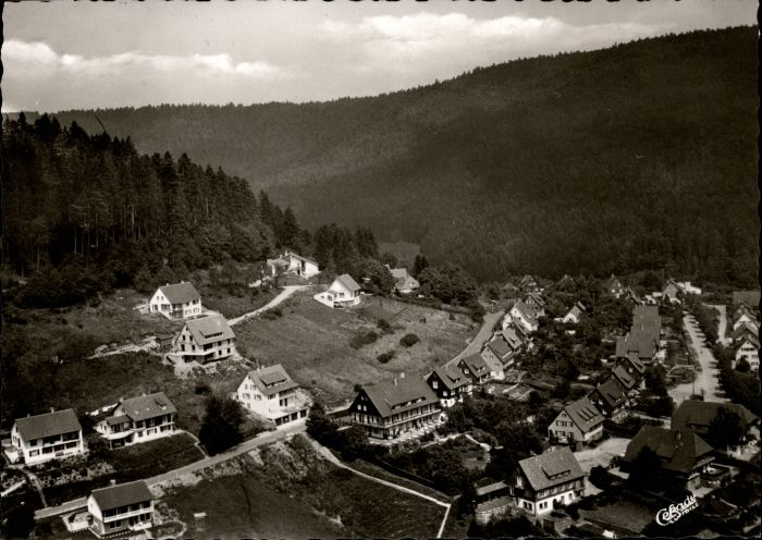 Alpirsbach Fliegeraufnahme