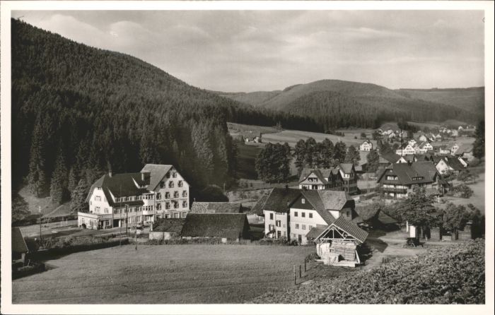 Obertal Baiersbronn Hotel Pension Adler