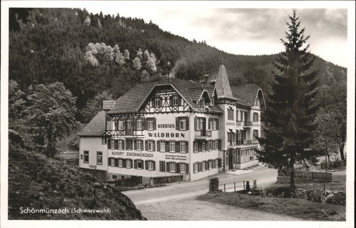 Schoenmuenzach rhaus Waldhorn *