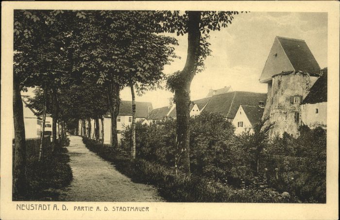 Neustadt Donau Stadtmauer