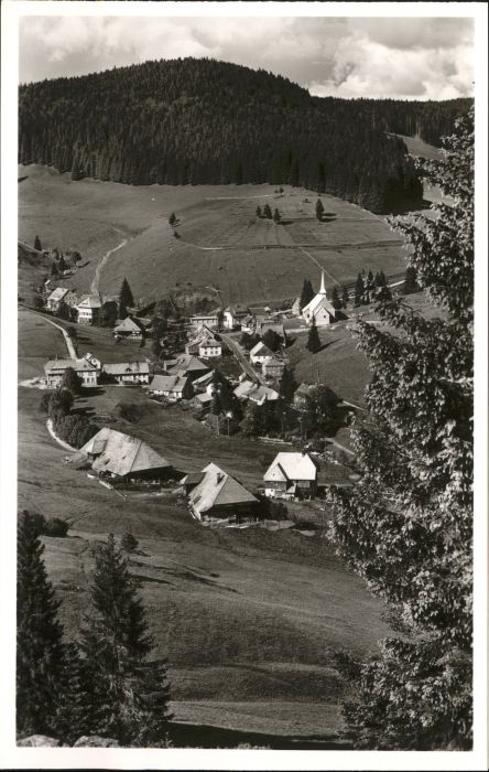 Muggenbrunn Schwarzwald Todtnau