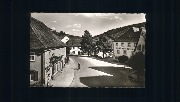 Muggendorf Fraenkische Schweiz arktplatz Gaststätte Goldner Stern *