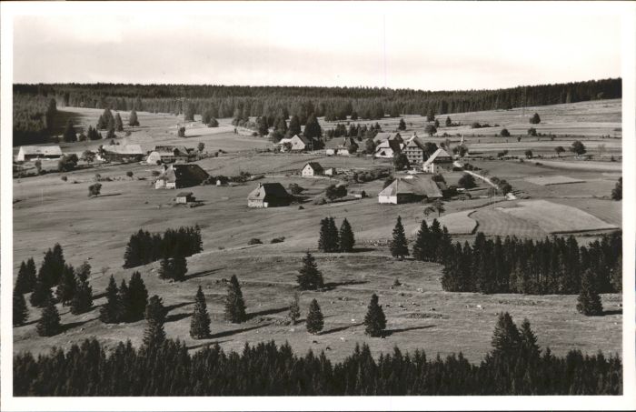 Faulenfuerst reis Neustadt Schwarzwald
