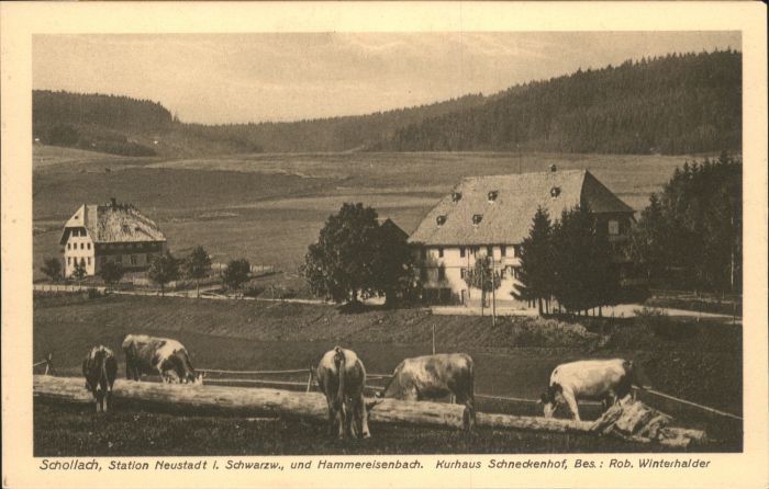 Schollach Eisenbach Hammereisenbach Kurhaus Schneckenhof
