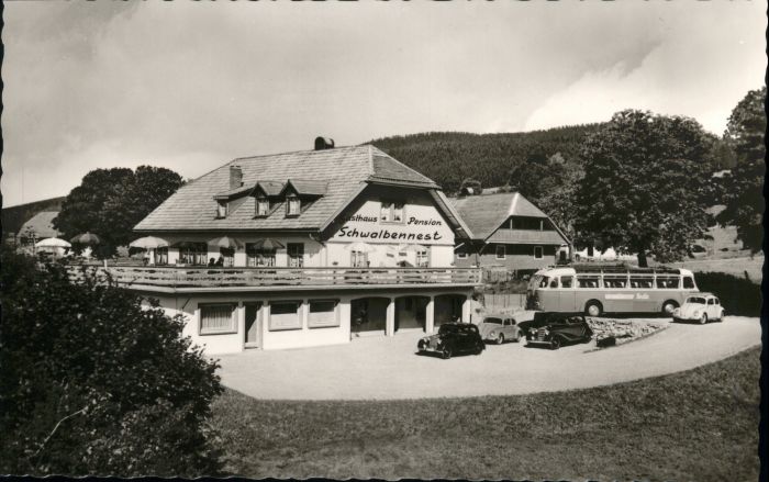 Haeusern chwarzwald St. Blasien Gasthaus Pension Schwalbennest