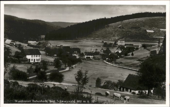 Bubenbach Schwarzwald Neustadt Hammereisenbach Ei