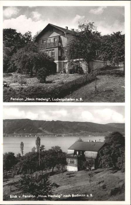 Ludwigshafen Bodensee Baden Pension Haus Hedwig Cafe Temmink