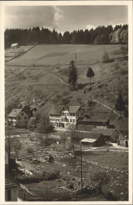 Schoenmuenzach sthaus zum Steinbock Murgtal *