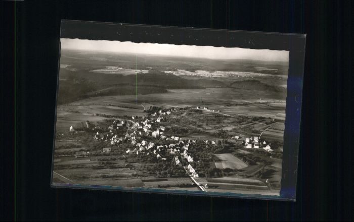 Spielberg Altensteig Spielberg Kreis Calw Schwarzwald Fliege