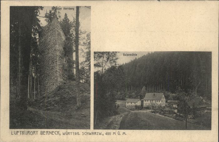 Berneck Alpirsbach Württembergischer Schwarzwald Ruine Hor