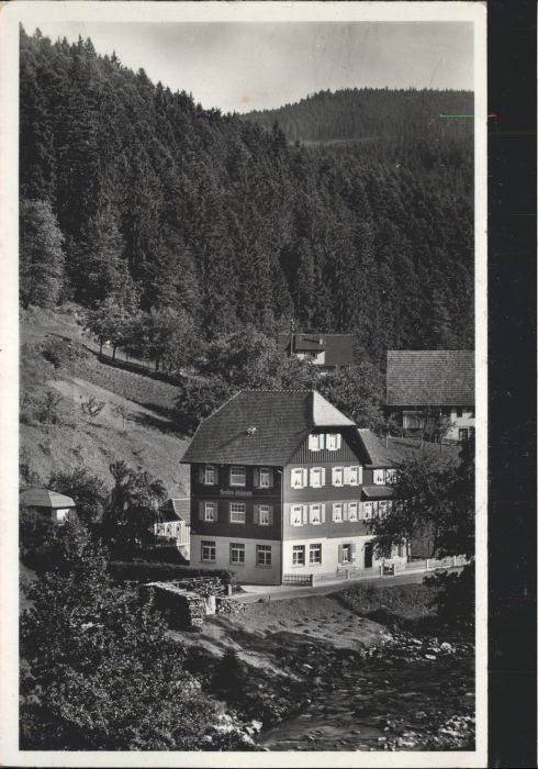 Schoenmuenzach hwarzwald Pension Elisabeth *