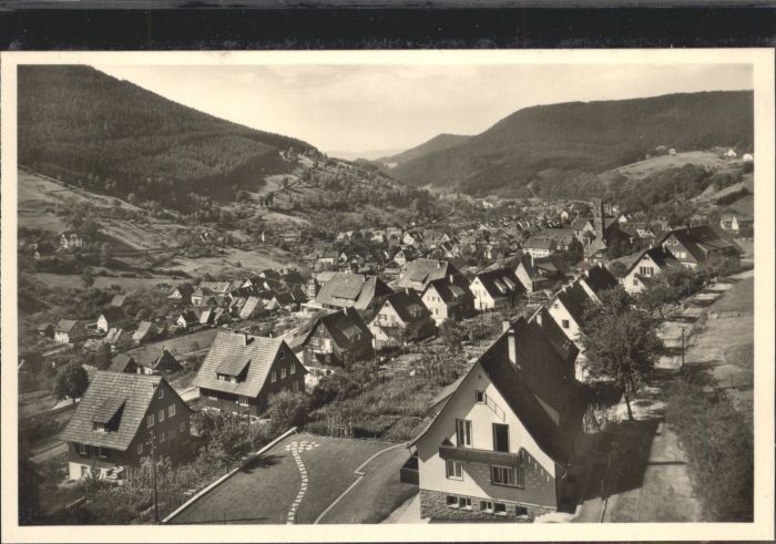 Alpirsbach Kinzigtal Burghalde