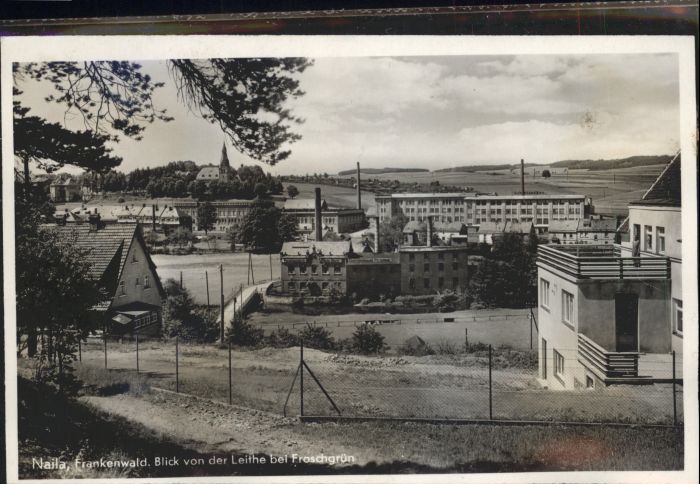 Naila Frankenwald Froschgrün