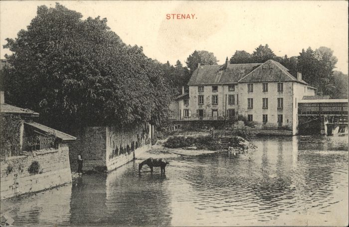 Stenay Pferd