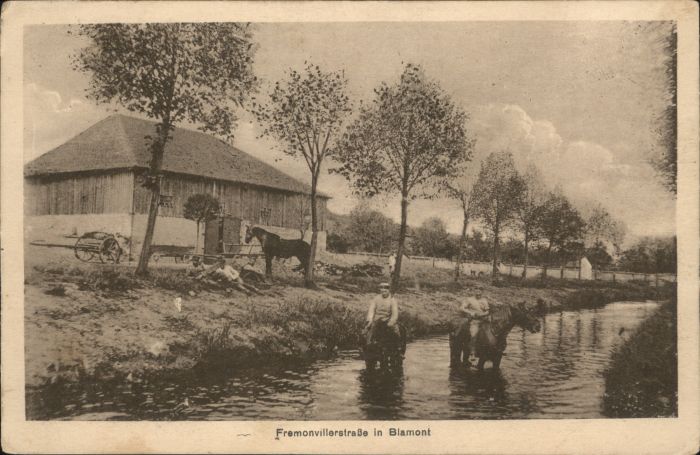 Blamont Meurthe-et-Moselle Blamont Pferd Fremonvillerstrasse