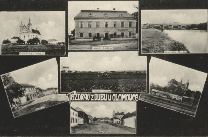 Olomouce Dubu Namesti