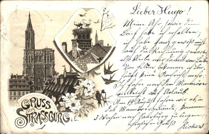 Strasbourg Alsace Strassburg_Elsass Storch Litho