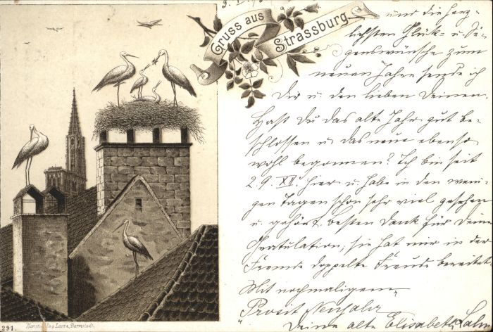 Strasbourg Alsace Strassburg_Elsass Storch Litho